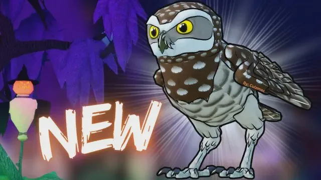 Feather Family 🎃 [Burrowing Owl] Characters