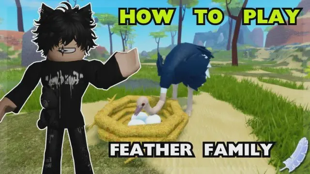 How to fly